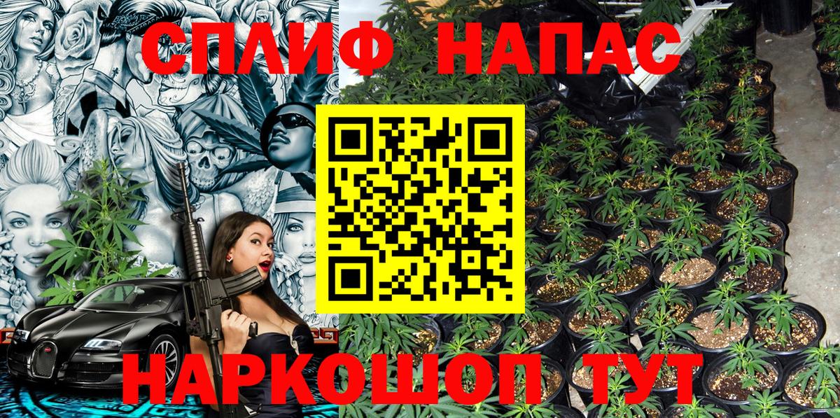 Шишки марихуана гибрид  Каннабис AK-47  Среднеуральск  Вход с VPN  Каннабис марихуана 