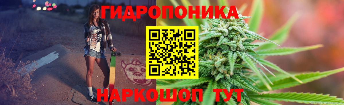 Марихуана сатива Среднеуральск